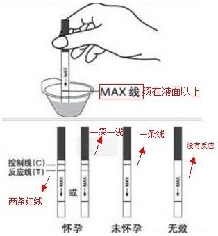 用醋测怀孕的方法如下